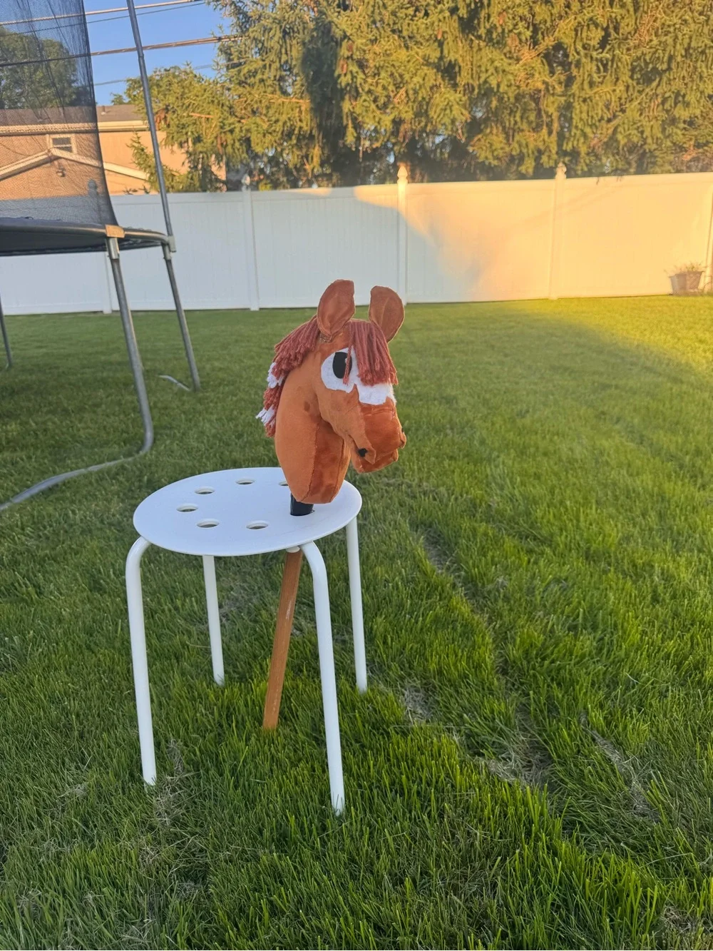 Hobby horse- “FSS Just Keep Swimming” AKA Nemo